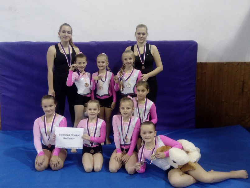 Zdroj: Gloxi club TJ Sokol Bedřichov