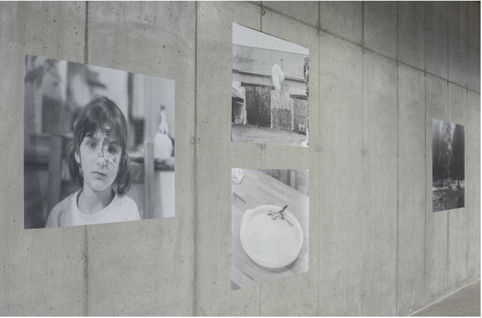 Všední nevšednost. 