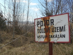Lom Družba u Sokolova je území poznamenané těžbou hnědého uhlí. Jeho produkce zde skončila roku 2011 po více než 120 letech.