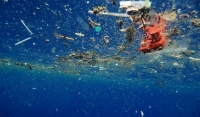 A Plastic Ocean
