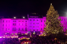 Tradiční vánoční trhy v Olomouci