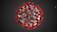 koronavirus SARS-CoV-2