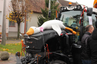 Svatomartinská husa