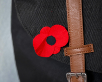 Květ vlčího máku se stal symbolem Dne válečných veteránů