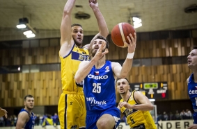 David Jelínek, Česko vs. Bosna a Hercegovina