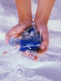 Co jsme našli v moři běhěm deseti minut