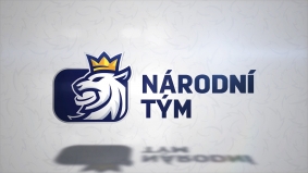 Logo národního týmu