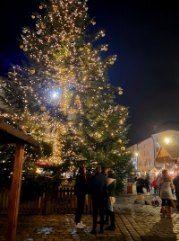 Vánoční strom na Horním náměstí