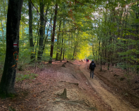 51. ročník Chřibské třiatřicítky