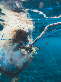 Plastový odpad v oceánu