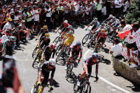 Peloton na závodu Tour de France v roce 2025