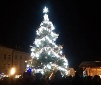 Vánoční strom na náměstí T. G. Masaryka v Prostějově 