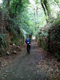 El camino de la vida