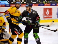 Bojující Martin Látal před brankou Litvínova