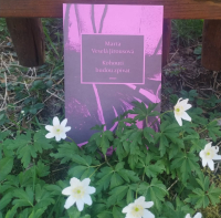 Kohouti budou zpívat