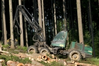 Kácení lesů v ČR