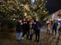 Přátelé u vánočního stromu