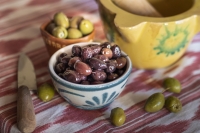 Zamíří znovuobjevené odrůdy oliv na naše talíře? 