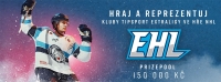 Virtuální hokejová liga EHL