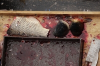 Pouliční prodej tzv. vánočních kaprů