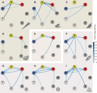 Schéma příčinných vztahů živých a neživých vlivů prostředí na skupiny zkoumaných mořských živočichů