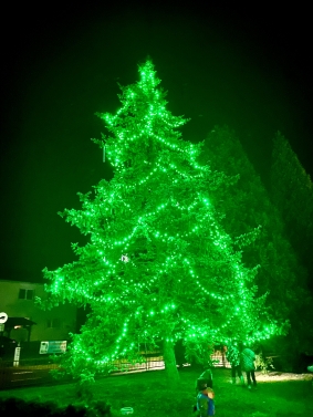 Vánoční stromeček v Dolní Lhotě
