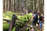 Kraj podpoří vznik přírodních učeben, smyslových stezek i ekologické aktivity na školách