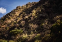 Ebore Land, Omo V. Ethiopia