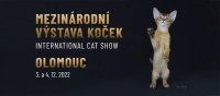 kočičí výstava