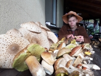 Letošní houbařská sezóna je vskutku povedená.