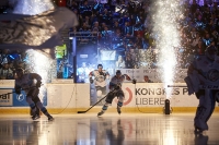 Efektní nástup Tygrů na ledovou plochu