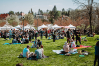 Festival Hanami na Hanspaulce v roce 2024.
