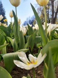 Naši nejmenší mohou někdy o světě vědět víc, než my sami