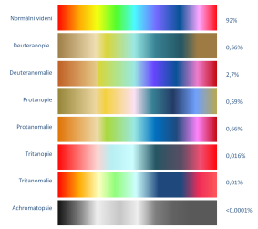 Vnímání spektra barev u zdravých osob a u osob s poruchami bavocitu včetně procentuálního vyčíslení v populaci 