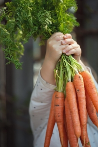 potravina detoxikace