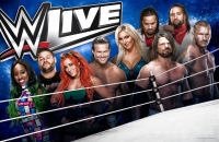 Wrestlerské hvězdy se ukáží v Praze!