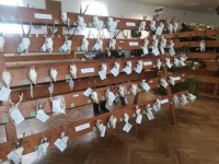 Ukázka vystavených trofejí