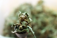 Závislost před fotoaparátem