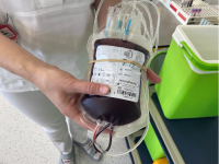 Transfuzní oddělení ve Fakultní nemocnici v Hradci Králové
