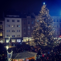 Letošní vánoční strom na Horním náměstí