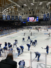 Kometa je v domácím prostředí silná