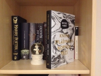 Kniha zvláštních nových věcí/ Michel Faber