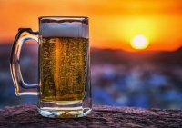 Pivo přímo na Univerzitě Palackého