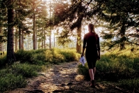 Stříbrná expedice 2018