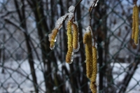 ilustrační obrázek