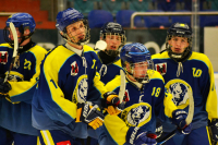 Liga 9. tříd - HC ZUBR Přerov